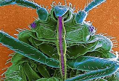 世嘉发布《索尼克：起源》新预告 游戏明日发售